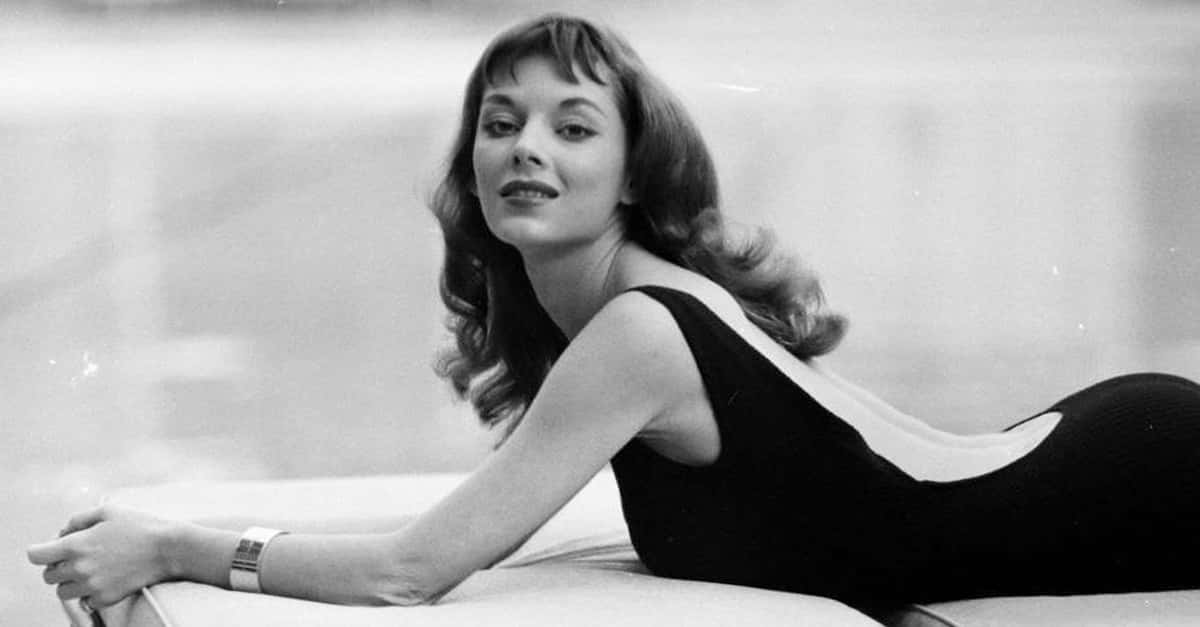 vikki dougan header flickr