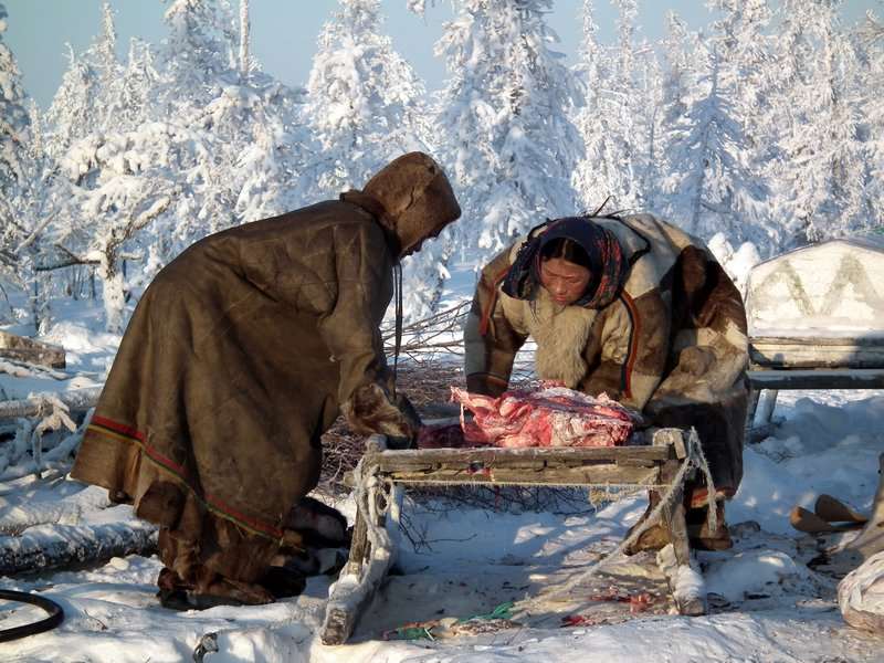 еда мясо