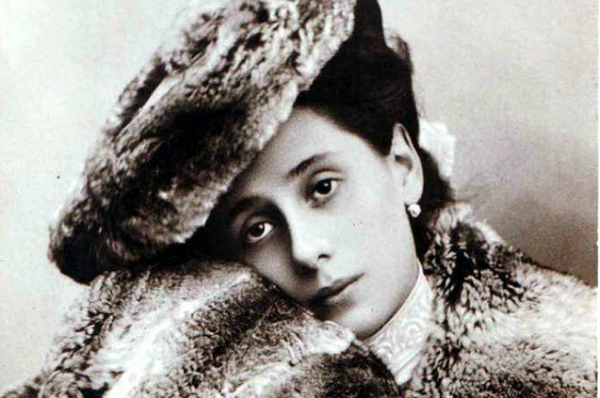 павлова главная